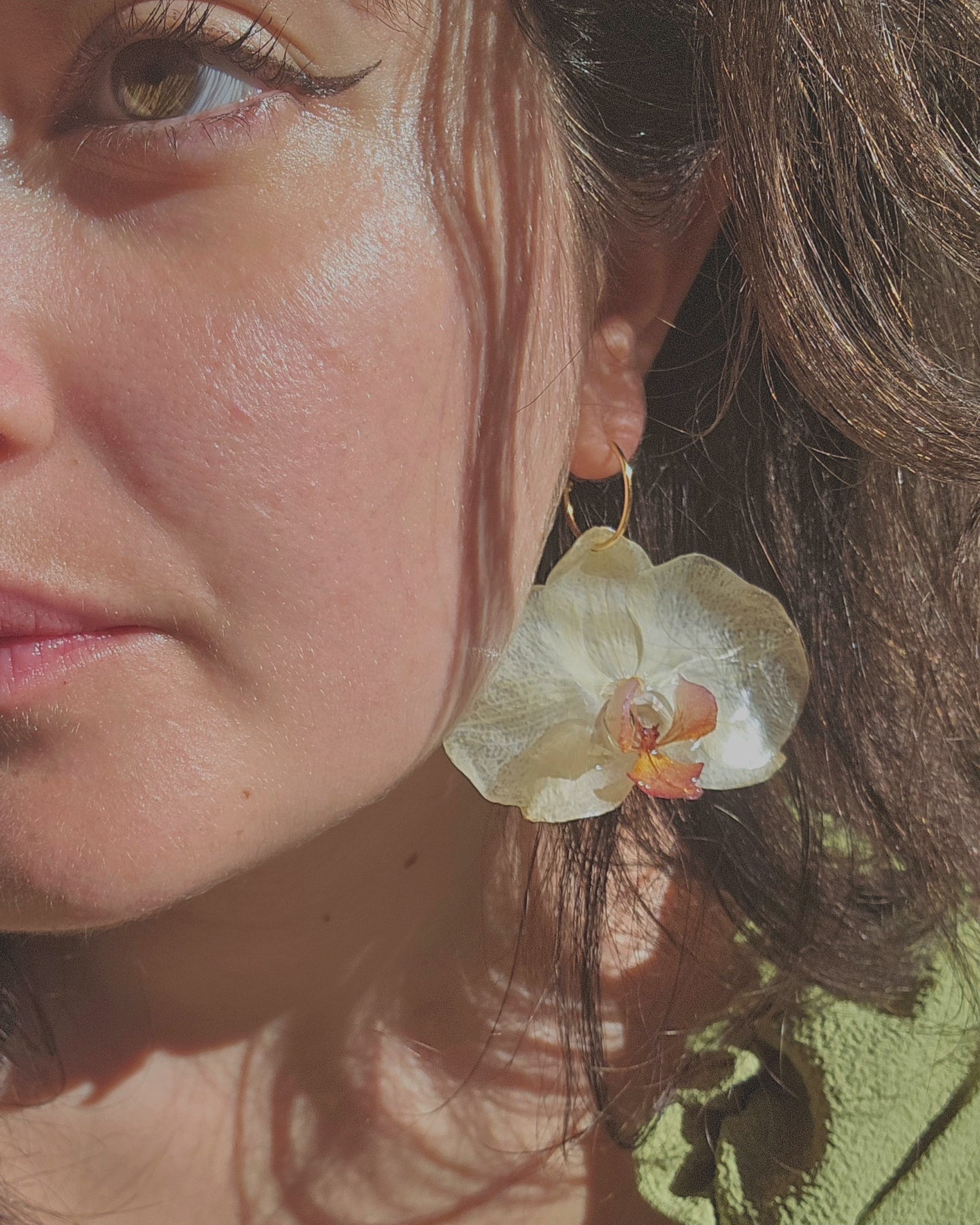 Orquídies grogues / Orquídeas amarillas