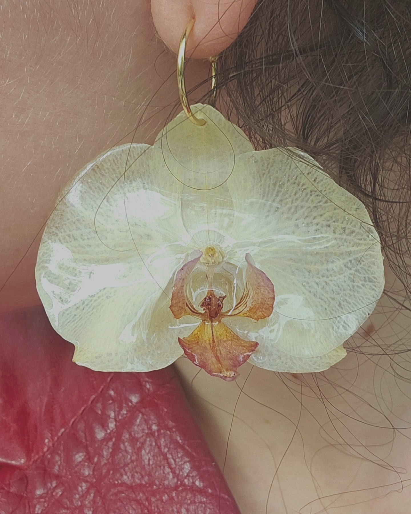 Orquídies grogues / Orquídeas amarillas