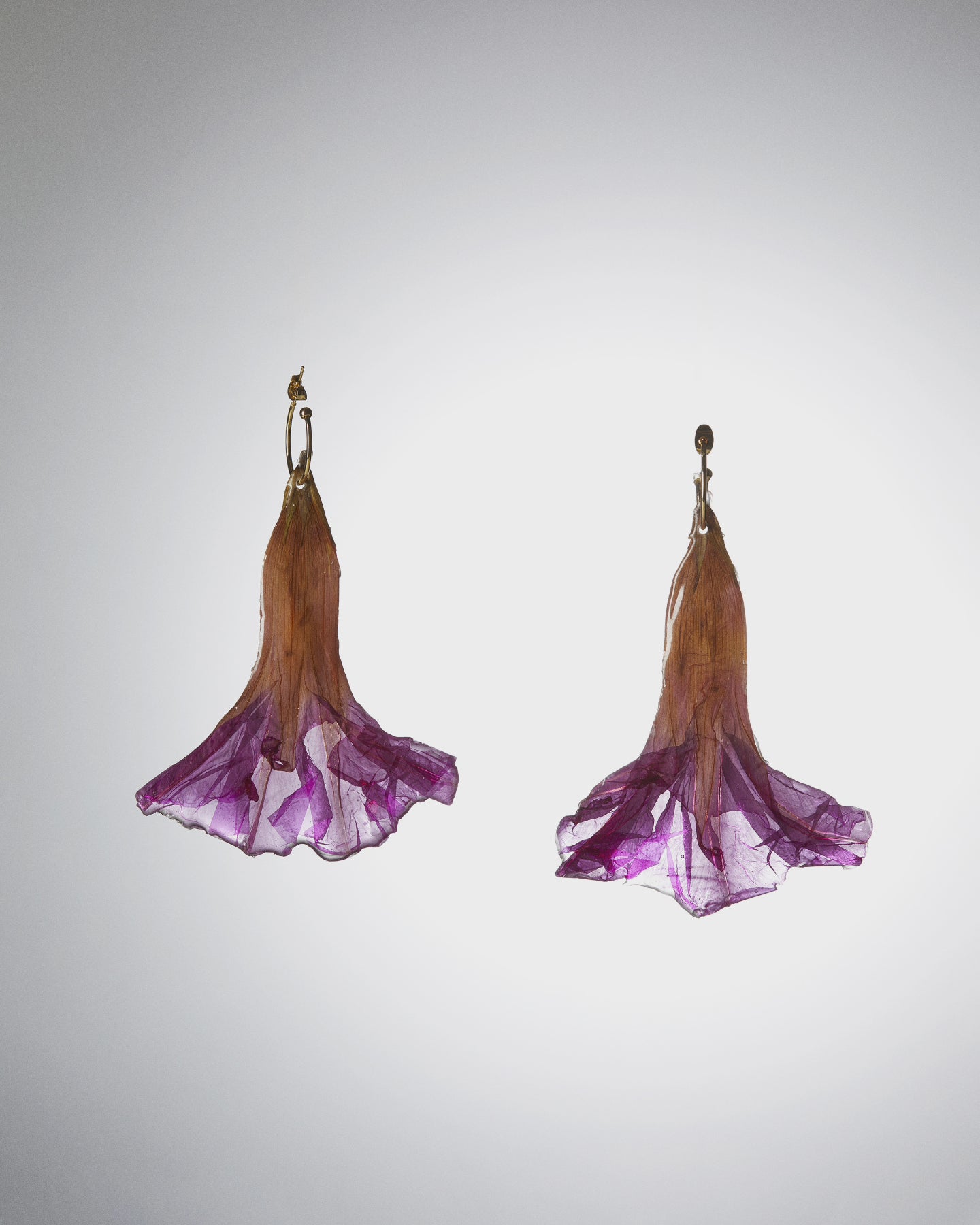 Campanetes liles