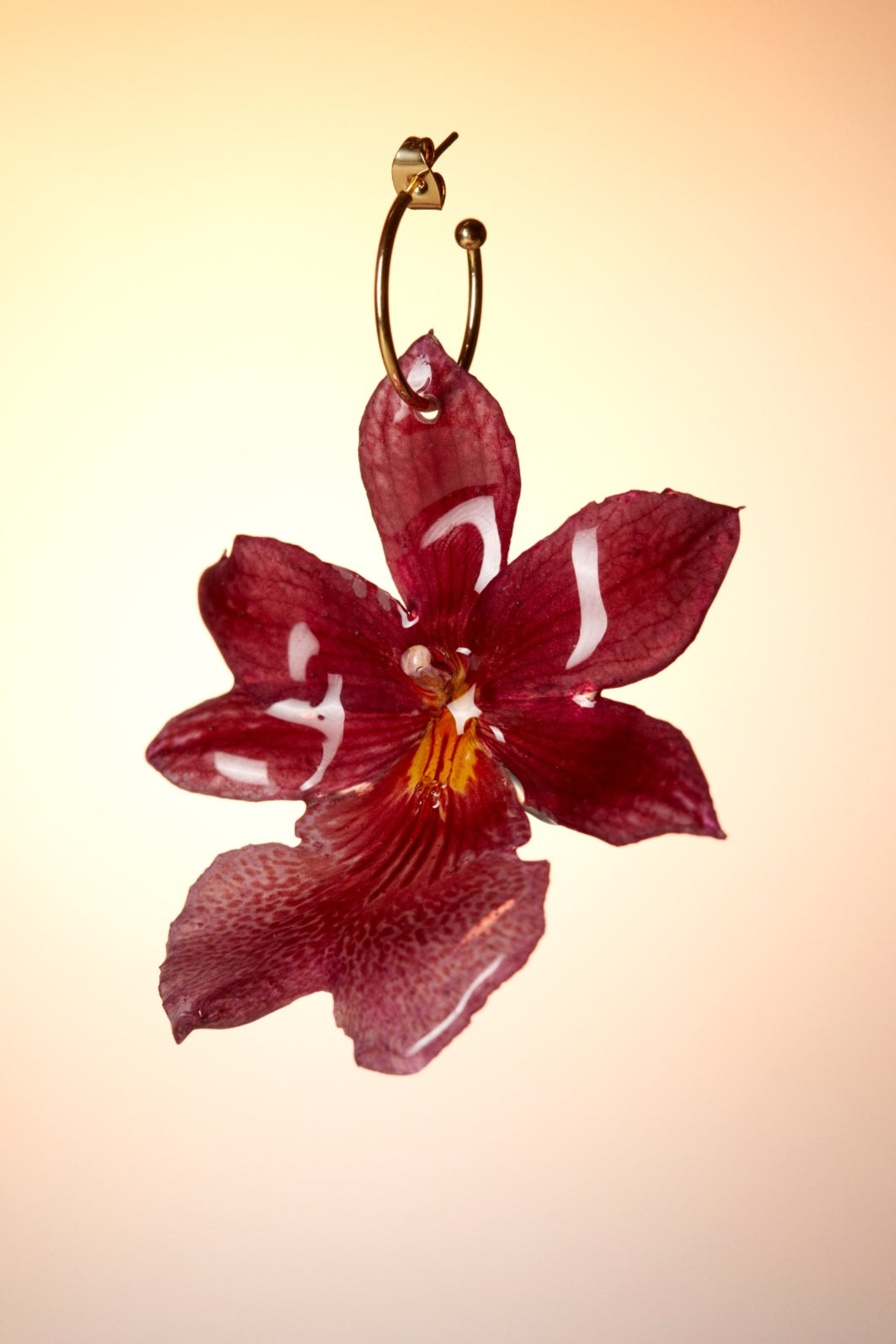 Collaret orquídia càmbria