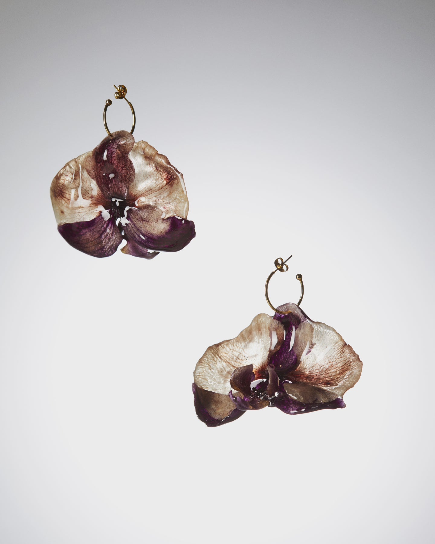 Orquídies liles i marrons / Orquídeas lilas y marrones
