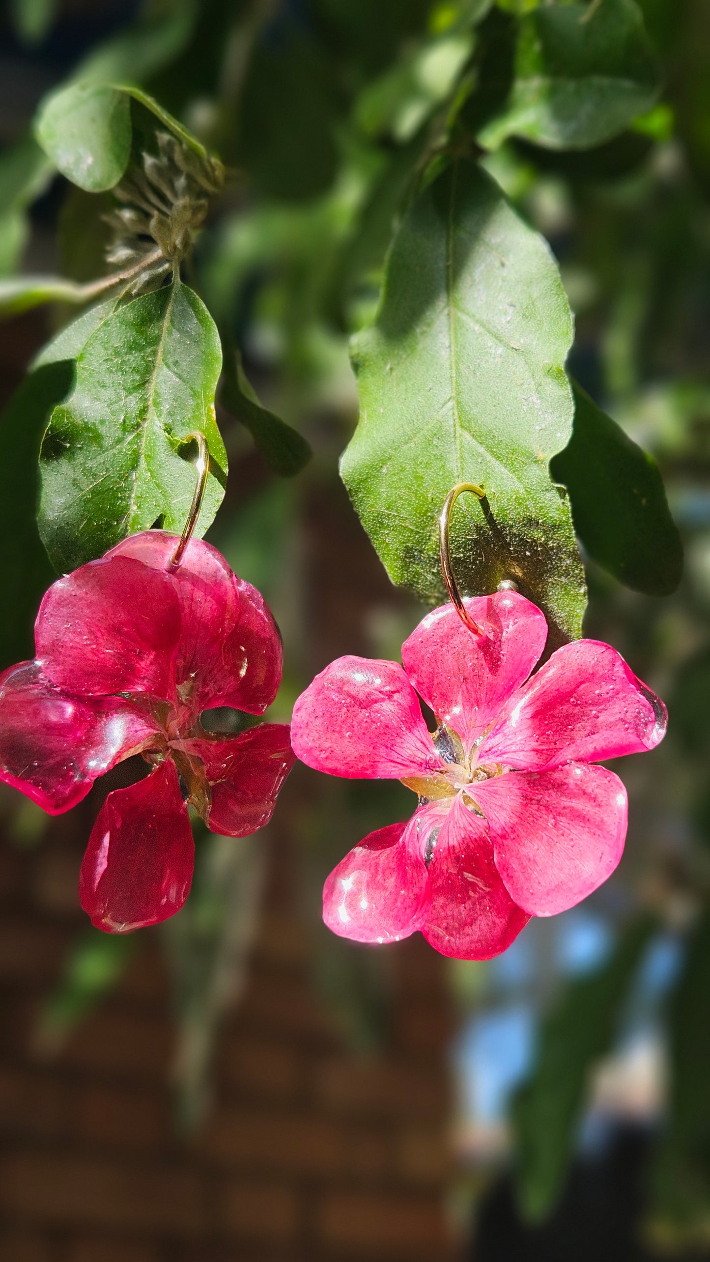 .🍒Glossy Pink Cherry🍒.
