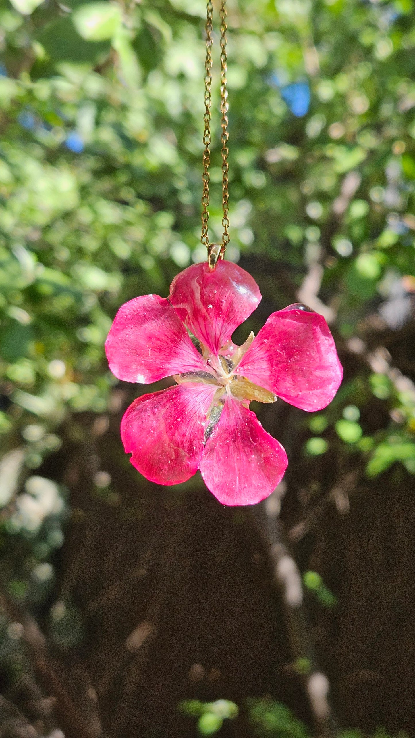 .🍒Glossy Pink Cherry🍒.